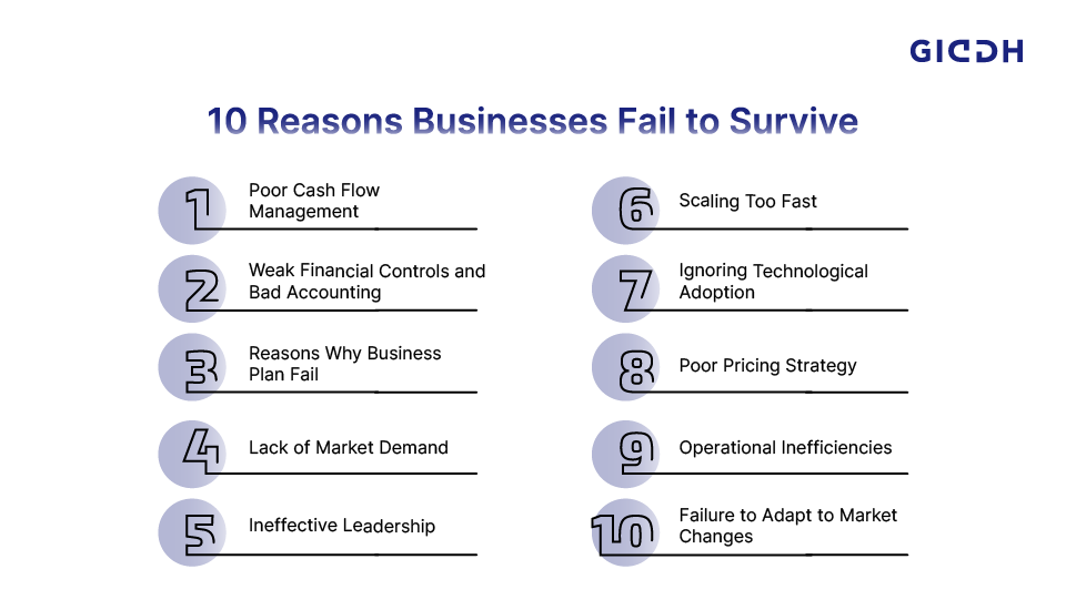 Reasons Businesses Fail to Survive